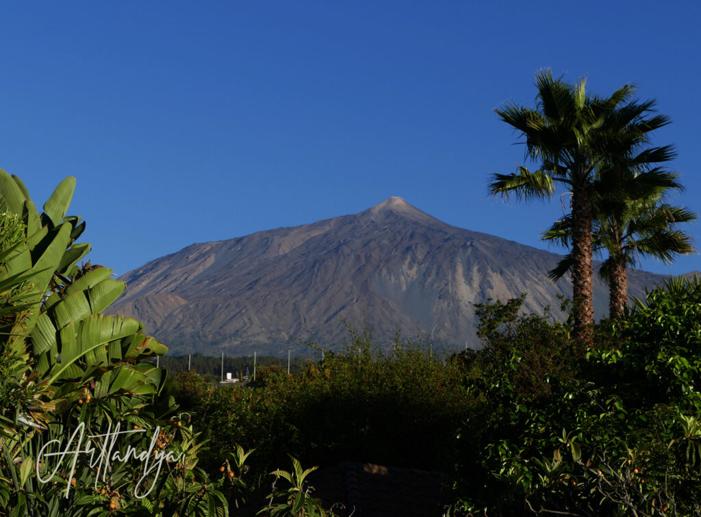 ARTlandya---la-Finca